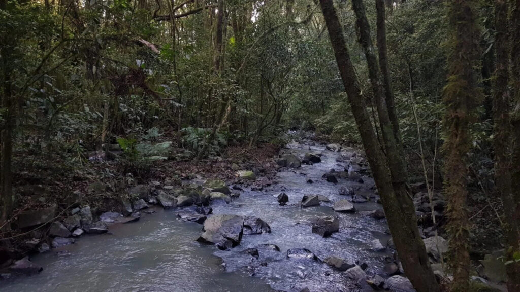 Rio