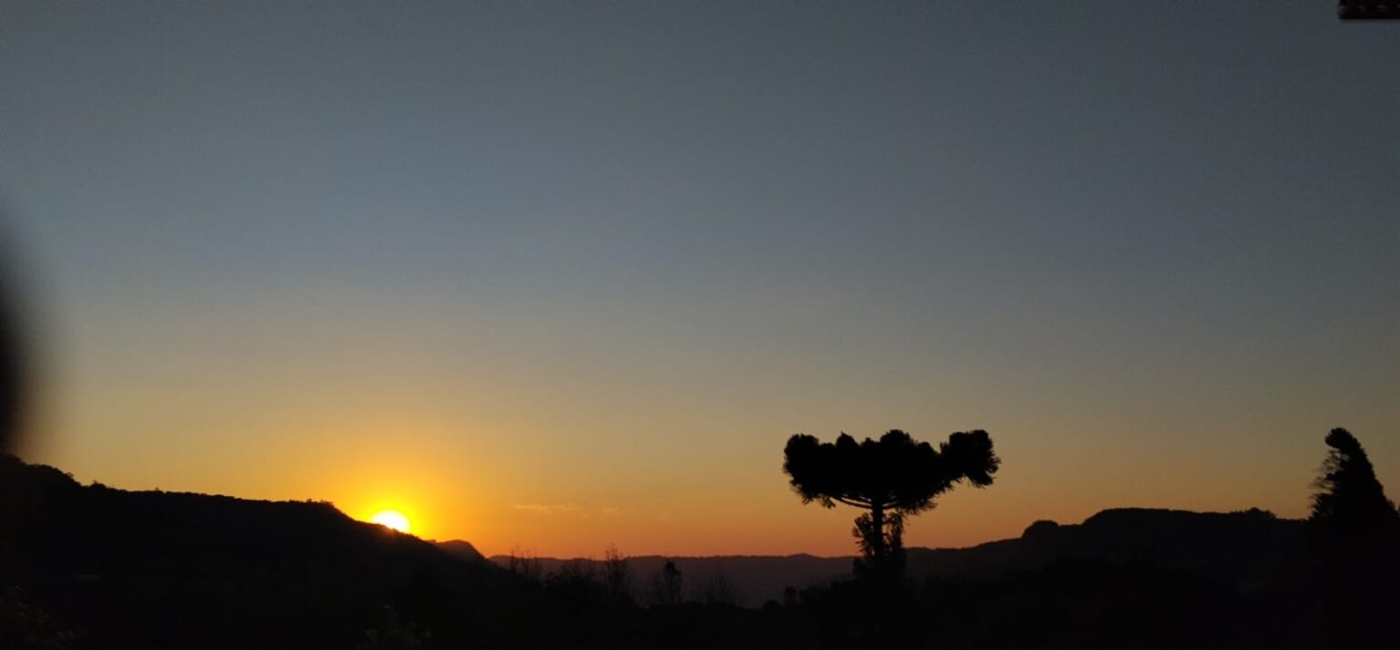 Meditação da Semana: Tempo de Florescer